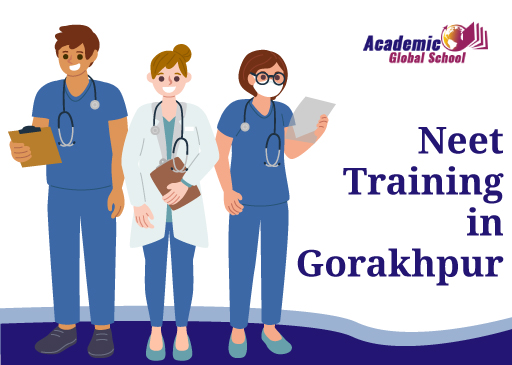 NEET Training Essentials: Important Tips for Success in Medical Entrance