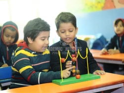 Little Genie Program