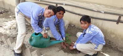 Plantation on Earth Day